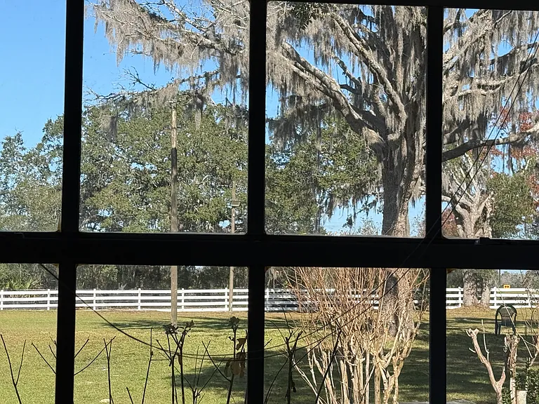 Every room has a view of a paddock