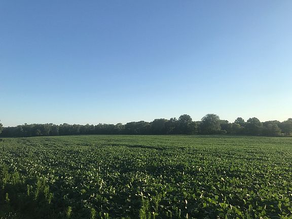 3rd image of 94.3 Acres Of Property