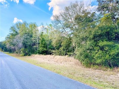 1539 E Wedgewood Ln, Hernando, FL, 34442