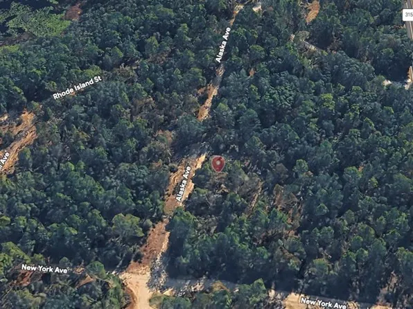 ALASKA AVENUE LOT 29, INTERLACHEN, FL 32148