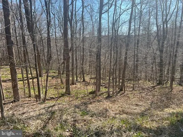 Maple Ln, Newfoundland, PA 18445