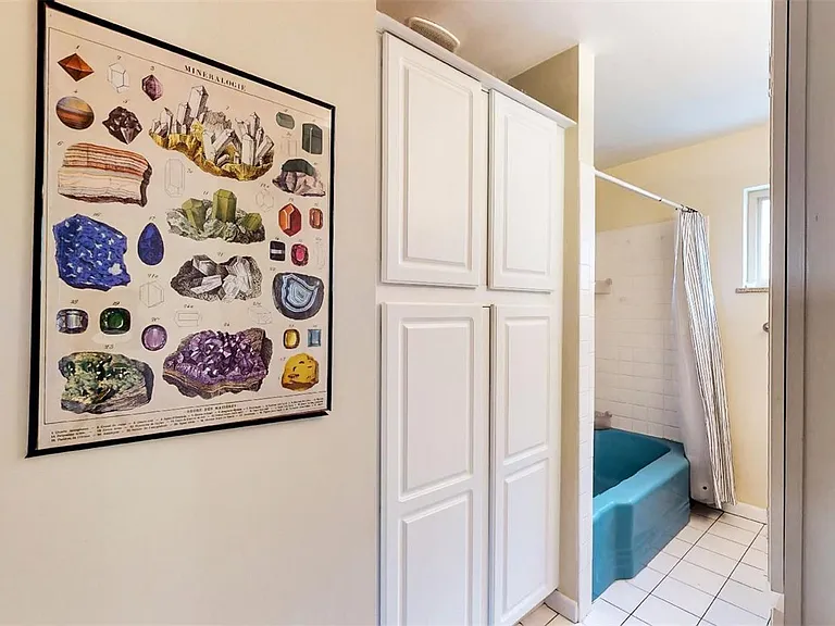 715 Ivanhoe St — Photo 14