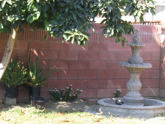 2949 Del Amo backyard