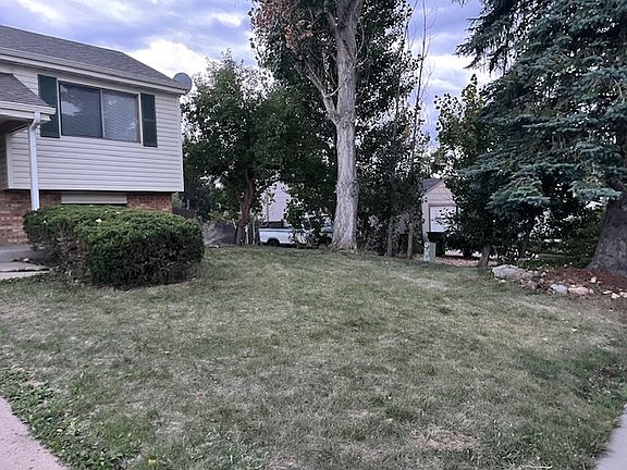 Front yard