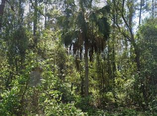 119 SE 2nd St, Georgetown, FL 32139