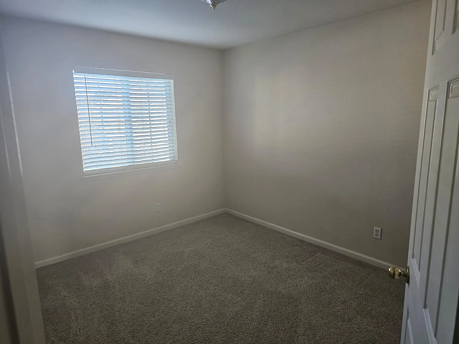 2851 Screech Owl Way photo 1