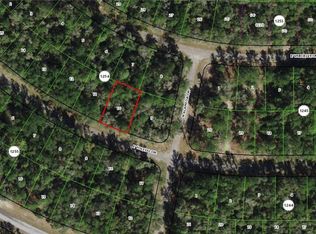 749 E Toledo Dr, Citrus Springs, FL 34434