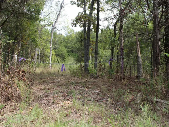County Road 2322, Eureka Springs, AR 72631