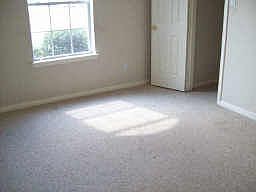 4th image of 3807 E Magnolia Dale Dr