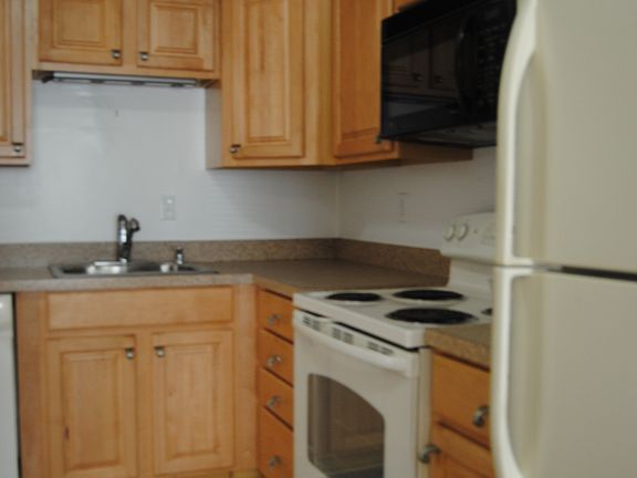 5th image of 1042 Brinker Dr APT 101