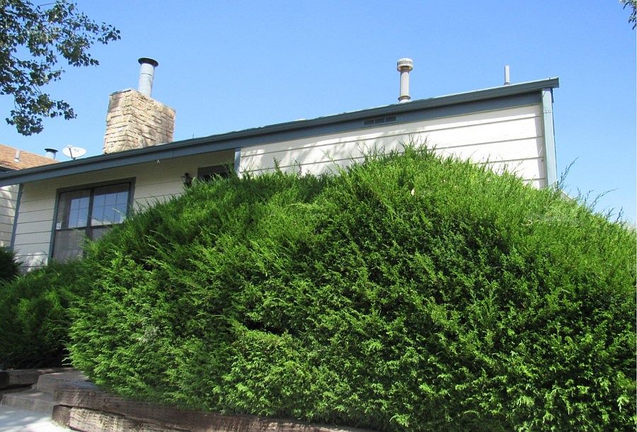 2nd image of 1022 S Zeno Way