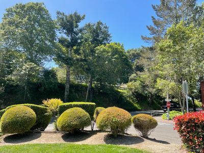 105 Virginia Avenue #1, Sebastopol, CA, 95472