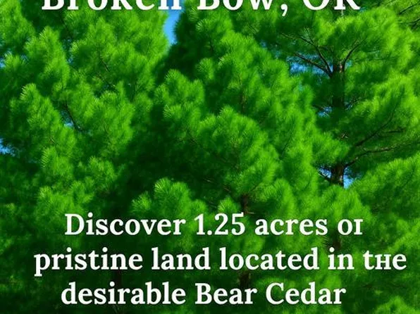 205 Bear Cedar Trl #28, Broken Bow, OK 74728