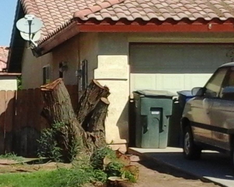 2nd image of 997 Corrales St