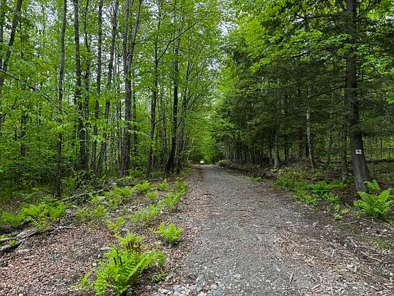 2nd image of 0 Patterson Bridge Road