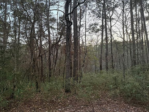 3rd image of 94 Green Tree Dr