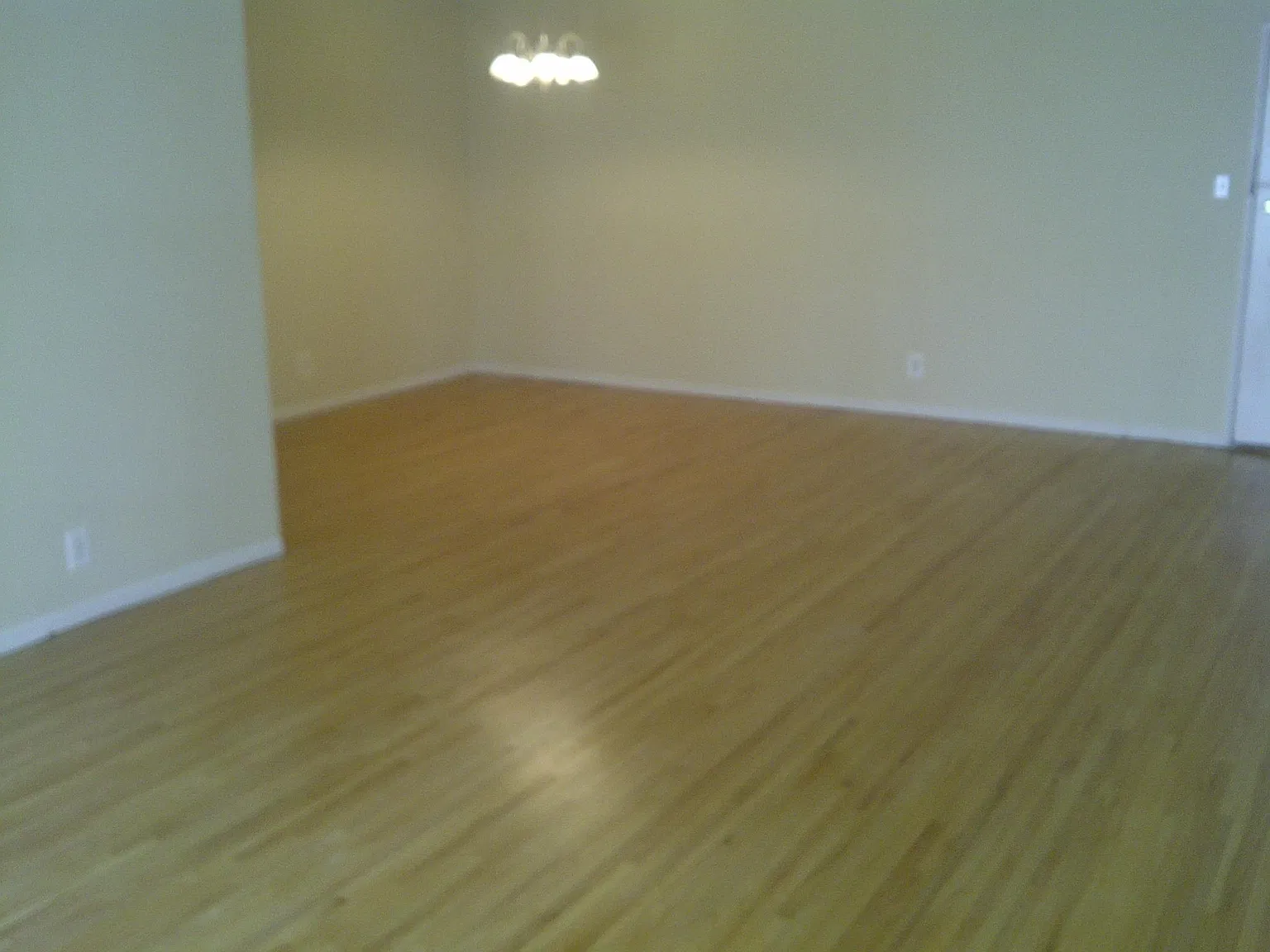 1 bed, 800 sqft, $2,395 — Photo 3