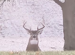 12220 Crampton Rd, Osseo, MI 49266