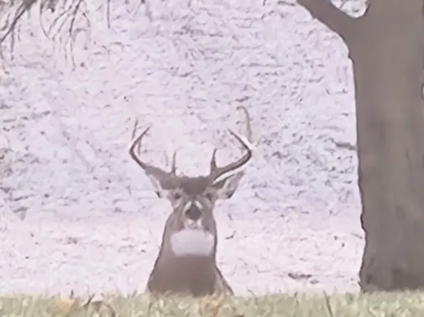 12220 Crampton Rd, Osseo, MI 49266