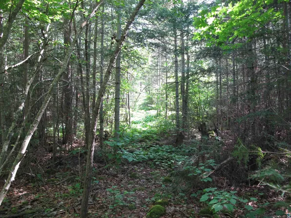 1XX Cougar Trl, Grand Marais, MN 55604