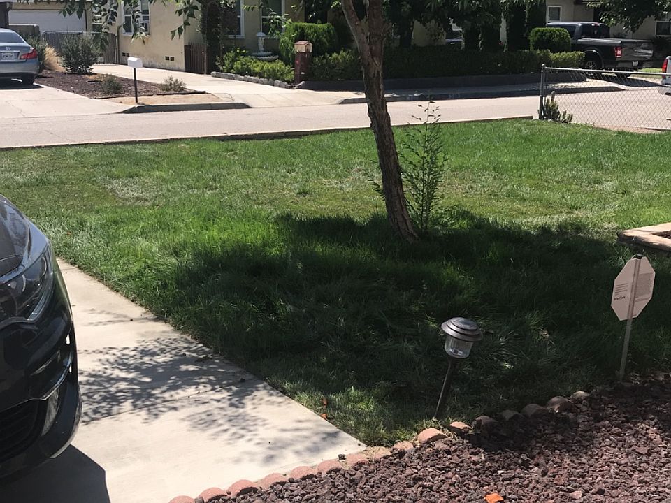 Upgraded front yard