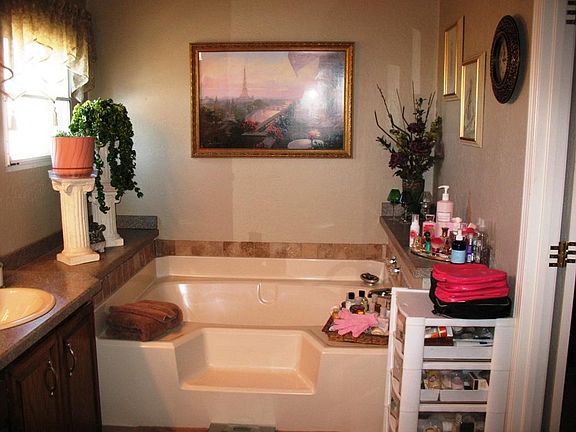 Master Bath Tub