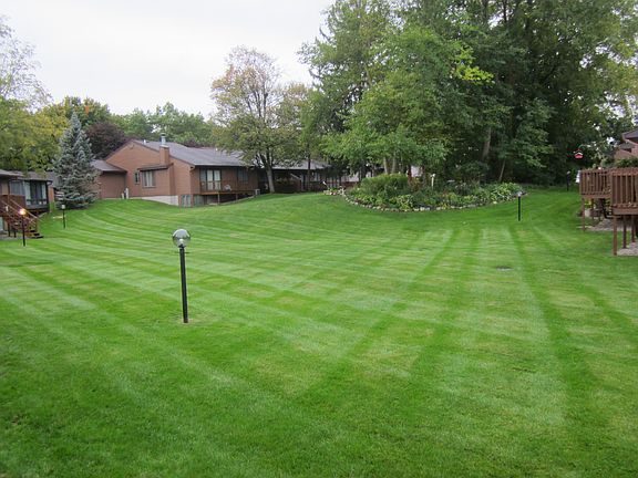 A peaceful parklike backyard
