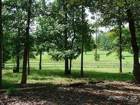 Huge Back Yard