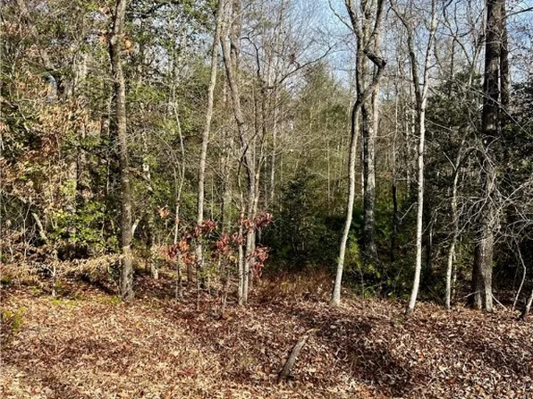 0 Hamilton Rd, Marietta, SC 29661