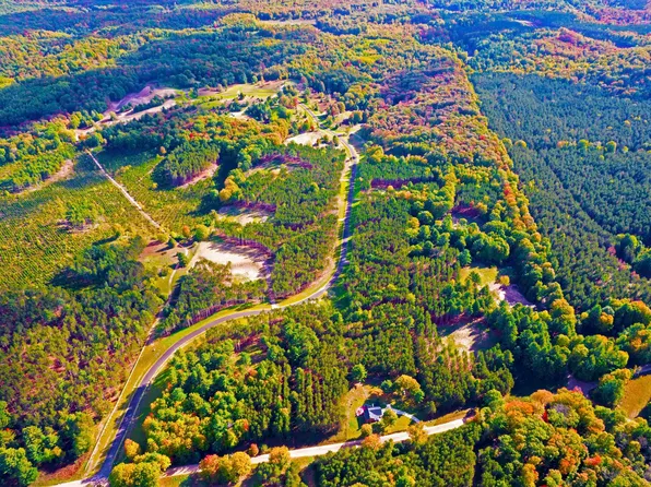 3189 Wildflower Ln SW, Williamsburg, MI 49690