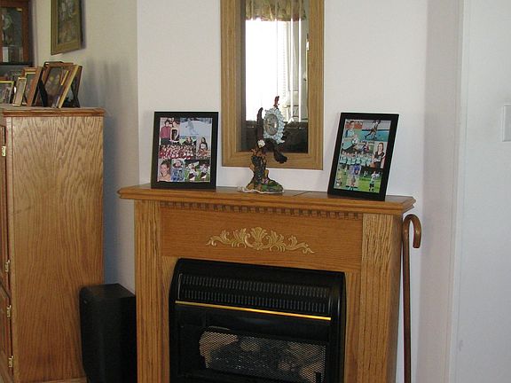 Fireplace in Living Room