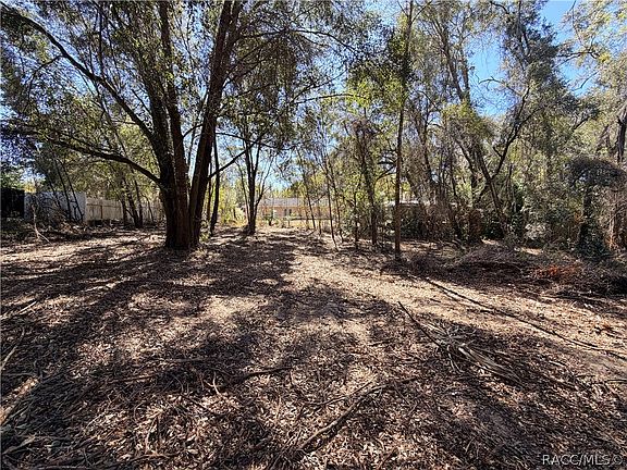 4th image of 3910 E Scotty St