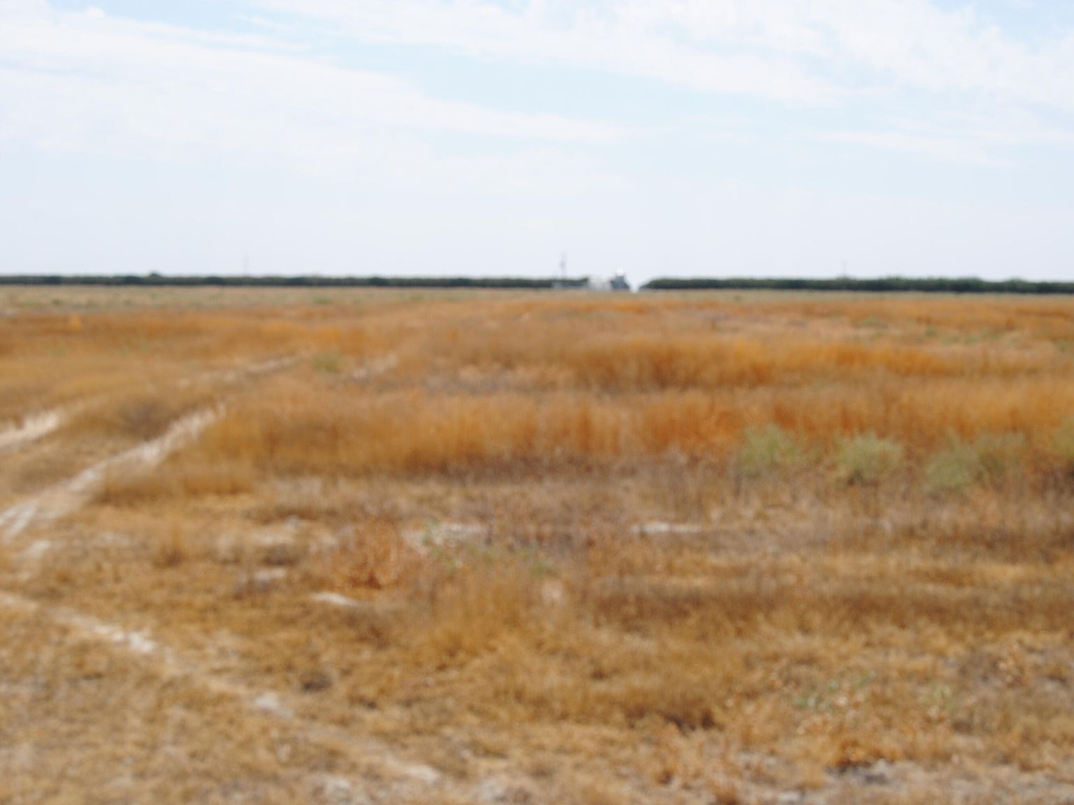 No Street Name Lot 19, Earlimart, CA 93219 MLS 225595 Zillow