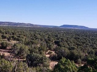 115 Blue Diamond, Concho, AZ 85924