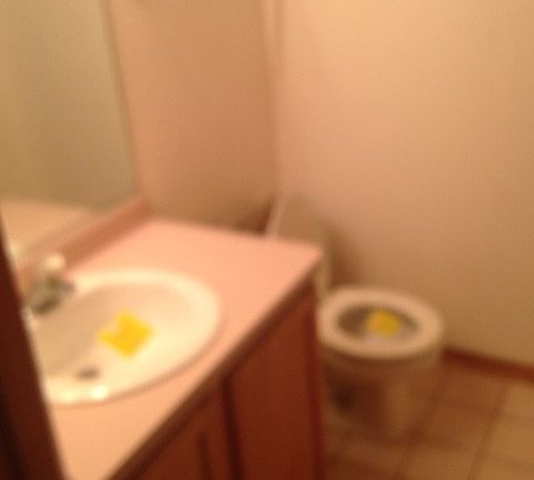 5th image of 6739 White Tailed Ln APT 3W