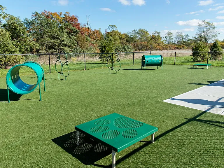 WAG pet park
