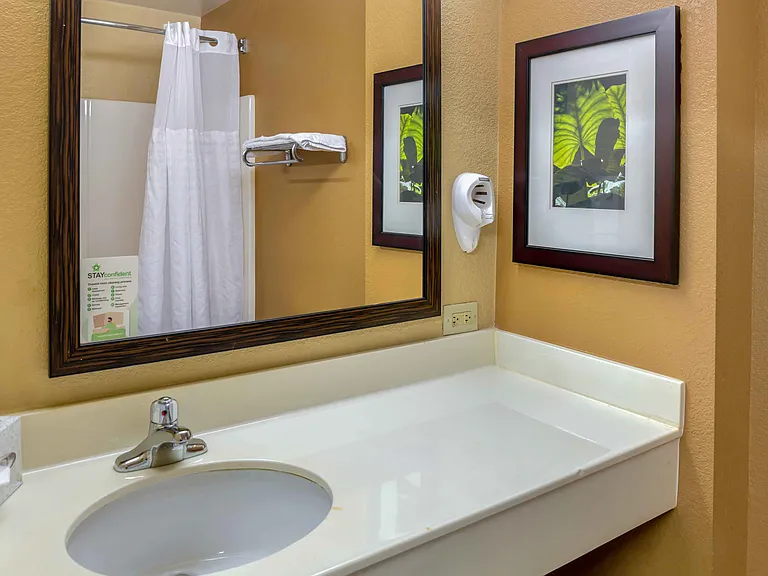 Studio Suite - 1 Queen Bed