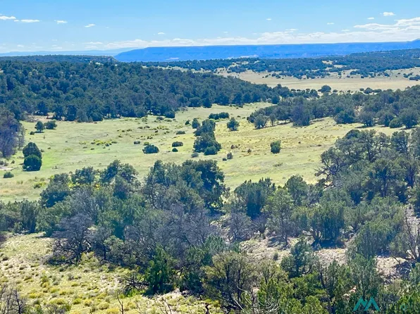 State Highway 36, Fence Lake, NM 87315