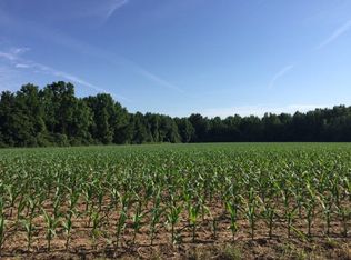 0 Wells Rd, Summerton, SC 29148