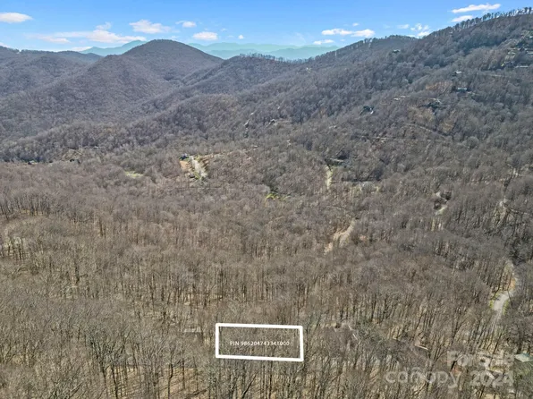 10 Chestnut Village Vlg #9 & 10, Mars Hill, NC 28754