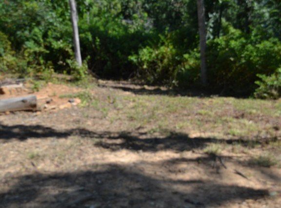 3rd image of Rock Springs Rd