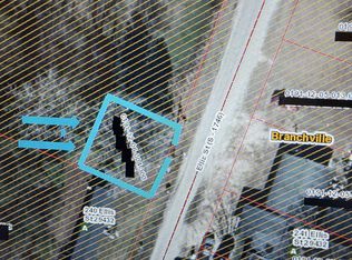 Ellis St, Branchville, SC 29432