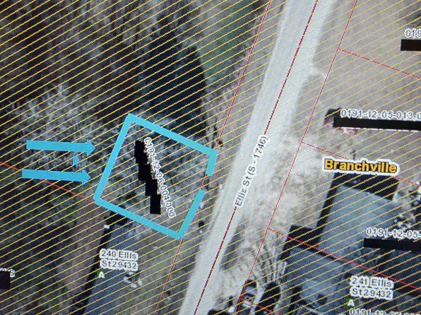 TBD Ellis St., Branchville, SC 29432