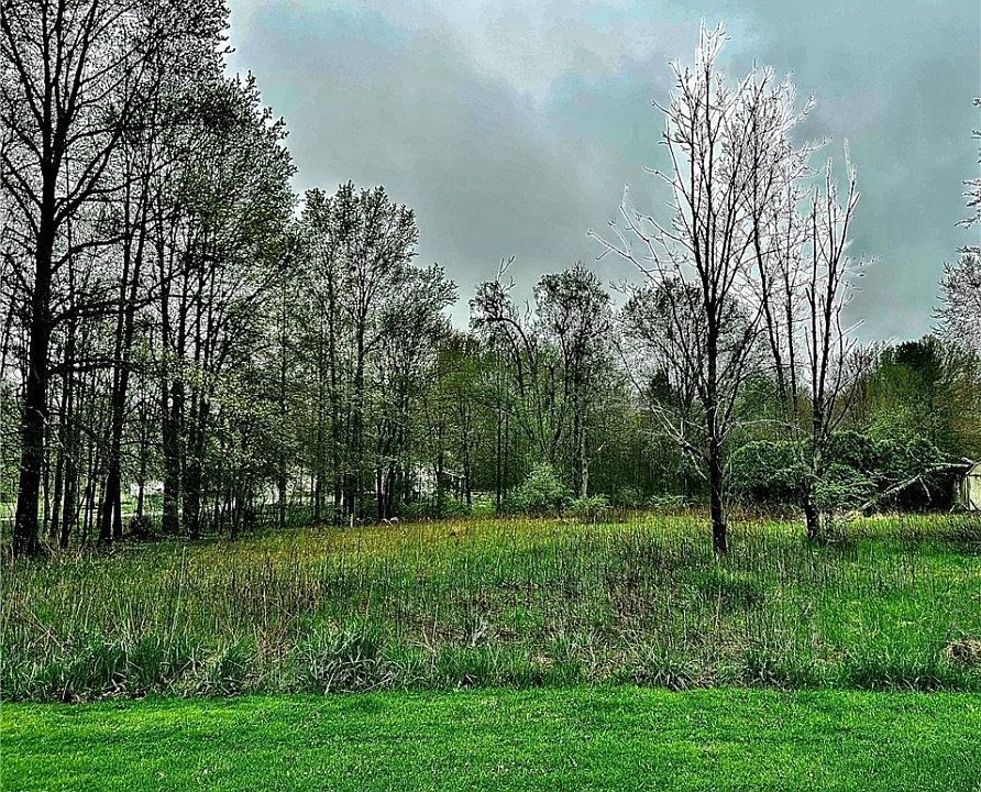 2nd image of Bristol Champion Townline Rd