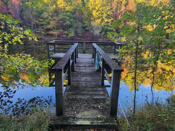 160 Green Meadow Ln, Fayetteville, GA 30215