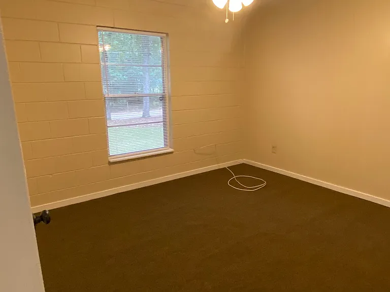 5011 Oleander Dr — Photo 13