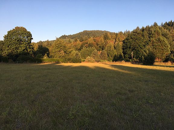 Level  360 degree views 