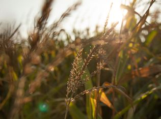 356th Ave, Orient, SD 57467