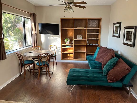 2nd floor view of pine trees in morning light