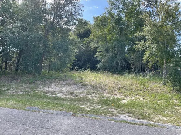0 SE 129th Pl #8, Ocklawaha, FL 32179